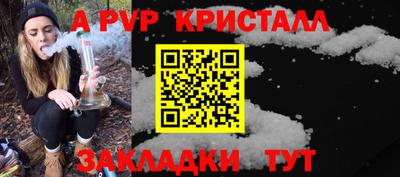 PSILOCYBIN Тула